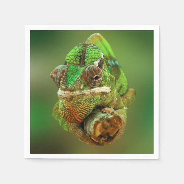 Guardanapo De Papel Chameleon Photo (Frente)