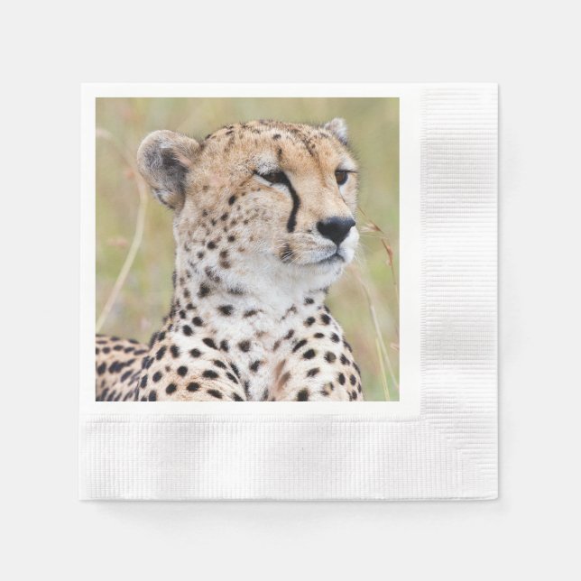Guardanapo De Papel Cheetah (Frente)