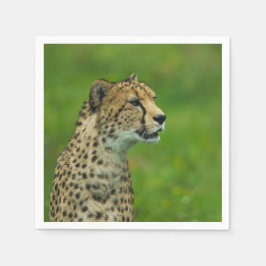 Guardanapo De Papel Cheetah Em Uma Olhada