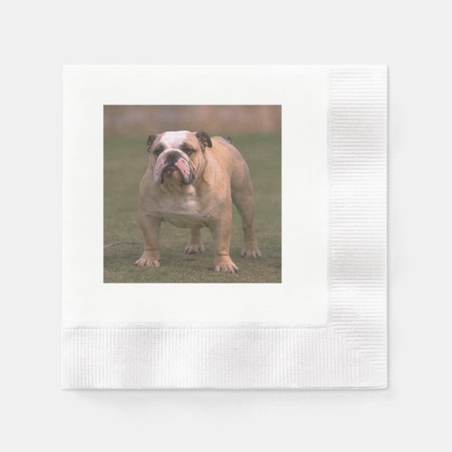 Guardanapo De Papel cheio de buldogue 2.png (Frente)