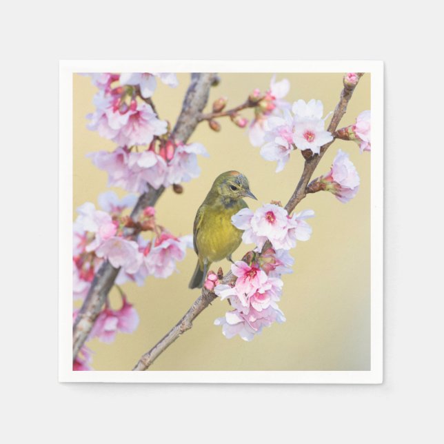 Guardanapo De Papel Cherry Blossom e Warbler (Frente)