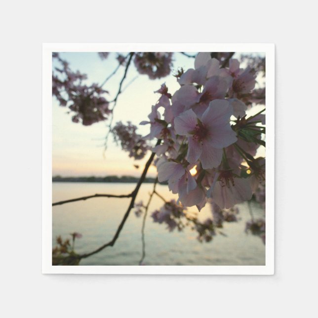 Guardanapo De Papel Cherry Blossom Sunset em Washington DC (Frente)