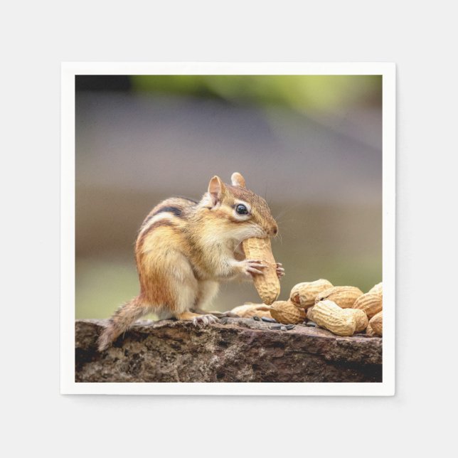 Guardanapo De Papel Chipmunk comendo amendoim (Frente)