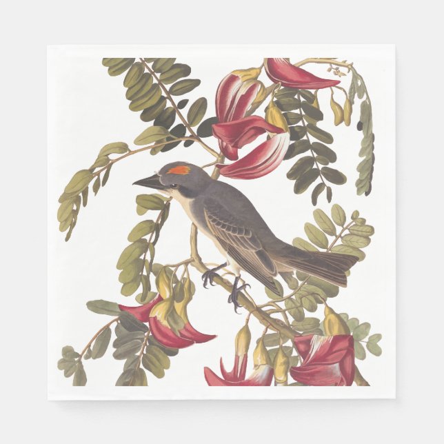 Guardanapo De Papel Cinza Kingbird Audubon Bird em Flor (Frente)