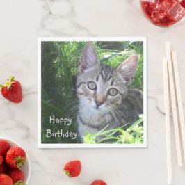 Guardanapo De Papel Cinza Tabby Cat Birthday