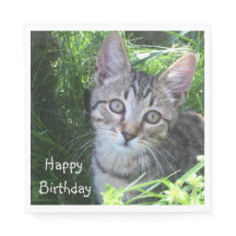 Cinza Tabby Cat Birthday