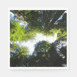 Guardanapo De Papel Círculo de Árvores Redwood no Parque Nacional Redw