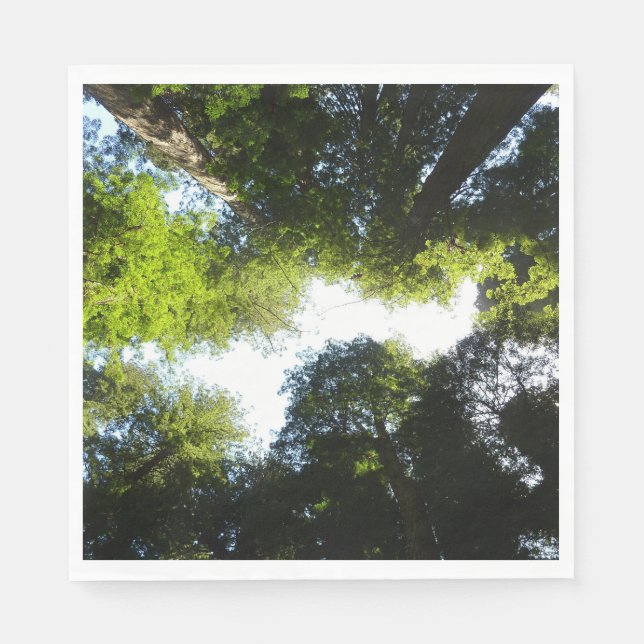 Guardanapo De Papel Círculo de Árvores Redwood no Parque Nacional Redw (Frente)