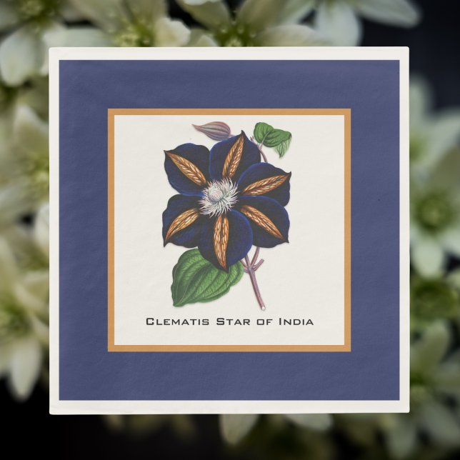 Guardanapo De Papel Clematis Star of India Botanical Illustration (Criador carregado)