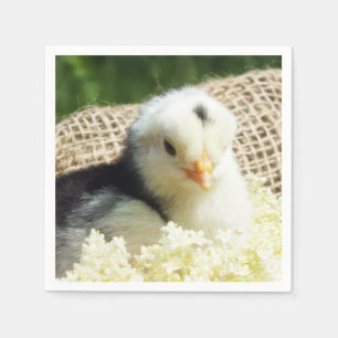 Guardanapo De Papel  cobrir iPad Pro de fazenda de galinha de animais 