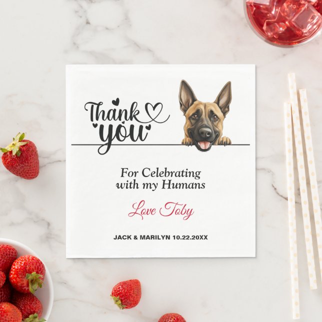 Guardanapo De Papel Cocktail de Casamento com Cão Malinois Belga (Insitu)