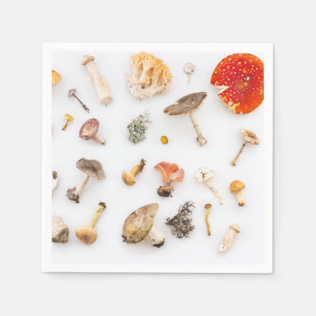 Guardanapo De Papel Cogumelos Fungus (Frente)
