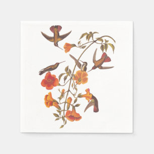 Guardanapo De Papel Colibri dos manguezais com flores alaranjadas
