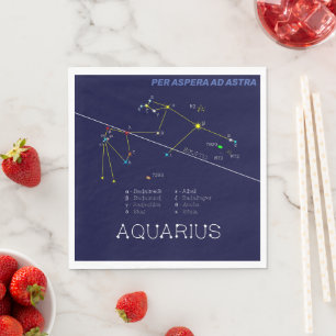 Guardanapo De Papel Constelação Zodiac Aquarius Napkins