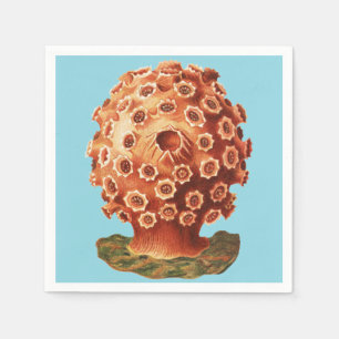 Guardanapo De Papel Coral Vermelho Náutico Vida Marinha Ernst Haeckel