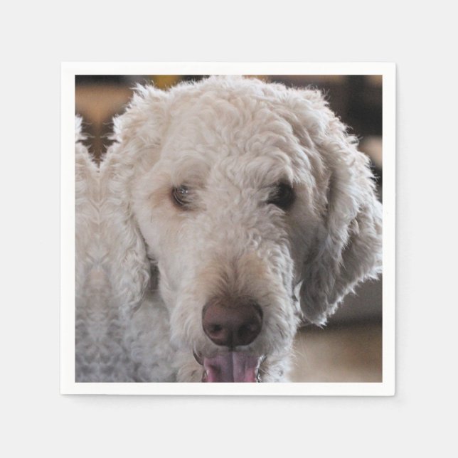 Guardanapo De Papel Coroa (Frente)