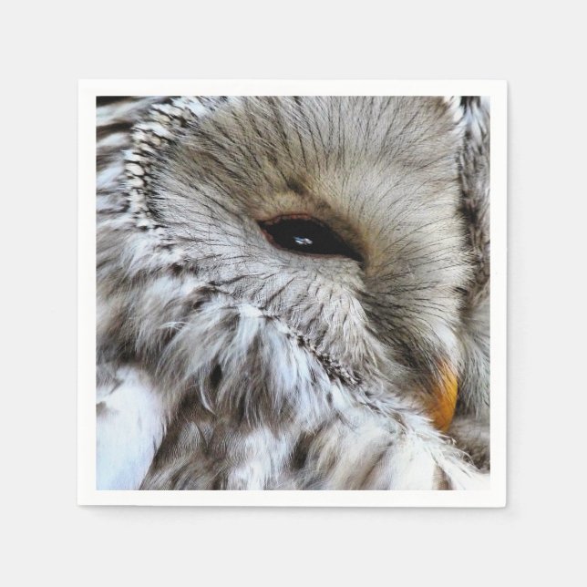 GUARDANAPO DE PAPEL CORUJA (Frente)