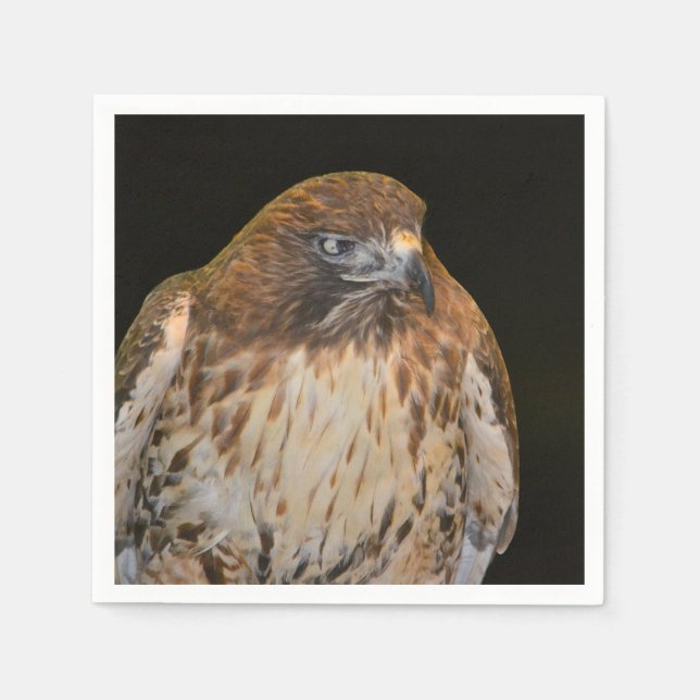 Guardanapo De Papel Crafty Hawk (Frente)