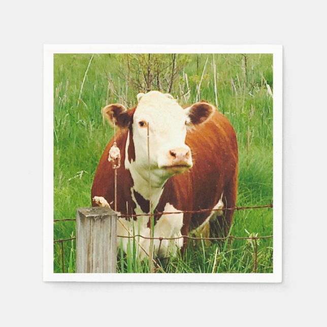 Guardanapo De Papel Curiosa Vaca 4Ricky (Frente)