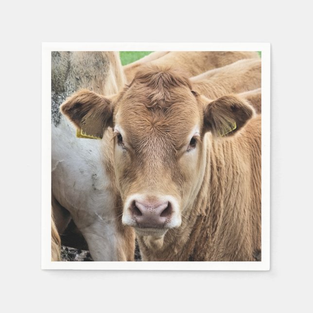 GUARDANAPO DE PAPEL CUTE CALF (Frente)