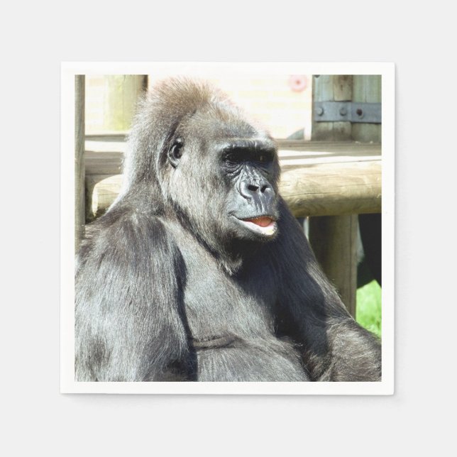 GUARDANAPO DE PAPEL CUTE GORILLA (Frente)