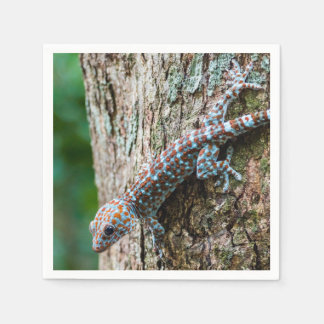 Guardanapo De Papel Cute Tokay Gecko Lizard