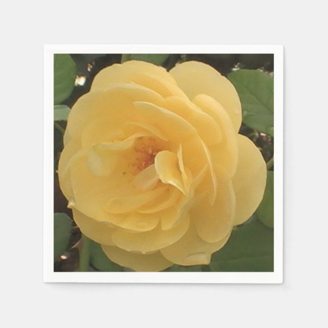 guardanapo de papel da camellia amarela (Frente)
