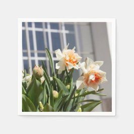 Guardanapo De Papel Daffodils fodils fodils primavera