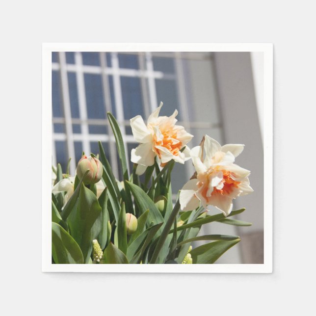 Guardanapo De Papel Daffodils fodils fodils primavera (Frente)