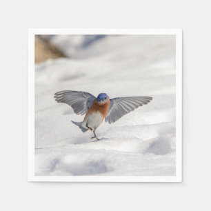 Guardanapo De Papel Dança oriental do Bluebird na neve
