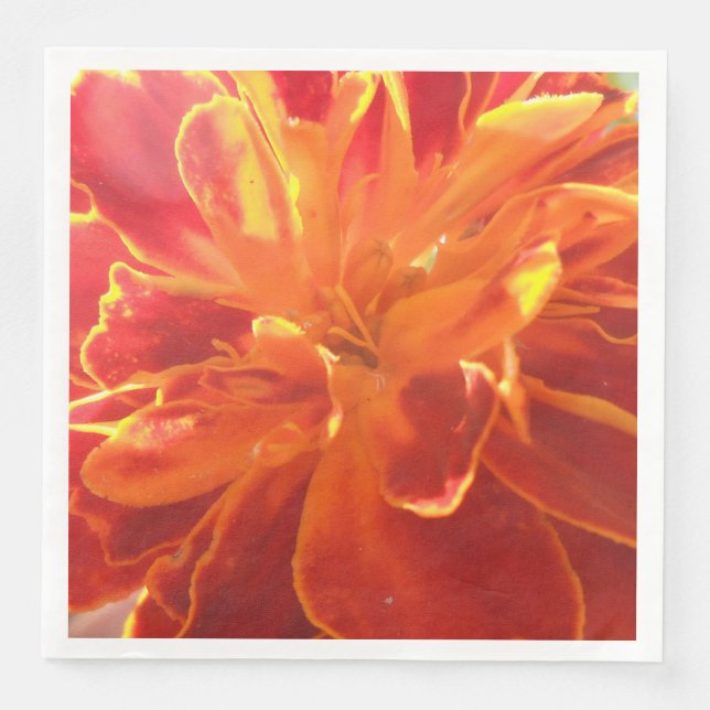 Guardanapo De Papel De Jantar Anastelino (Frente)