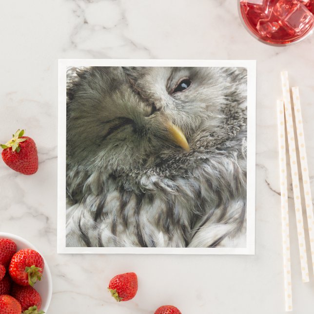 GUARDANAPO DE PAPEL DE JANTAR CUTE OWL (Insitu)