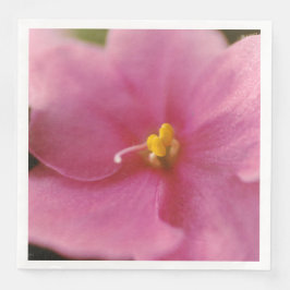 Guardanapo De Papel De Jantar Flor Pastel Pink African Violet (Saintpaulia)