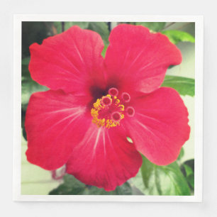 Guardanapo De Papel De Jantar Flor Vermelha de Hibisco Rosa-sinensis