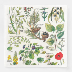 Guardanapo De Papel De Jantar Ilustrações Botânicas