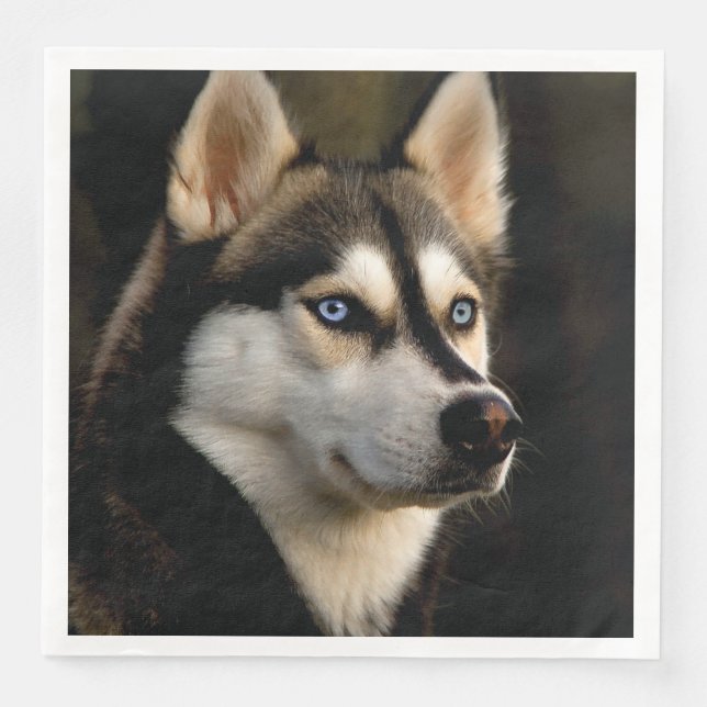 Guardanapo De Papel De Jantar Lindo Travesseiro Husky (Frente)