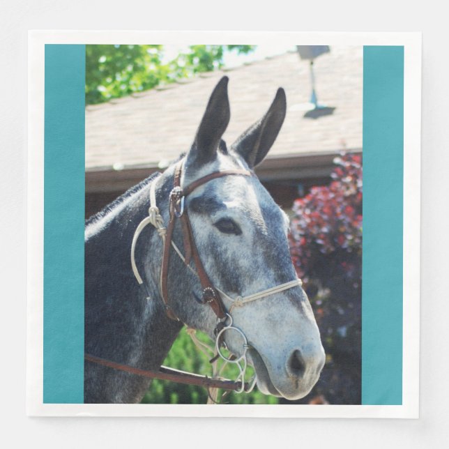 Guardanapo De Papel De Jantar Parada dos Dias do Bispo de 2018 (Frente)