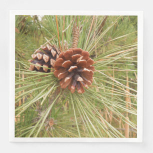Guardanapo De Papel De Jantar Pinheiro de Monterey com cones do pinho