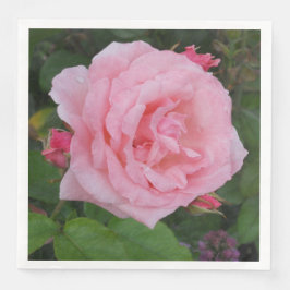 Guardanapo De Papel De Jantar Rosa Rosa Clássica