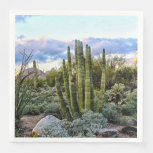 Guardanapo De Papel De Jantar Scottsdale Succult Sunset