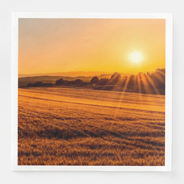 Guardanapo De Papel De Jantar Sunset (Frente)