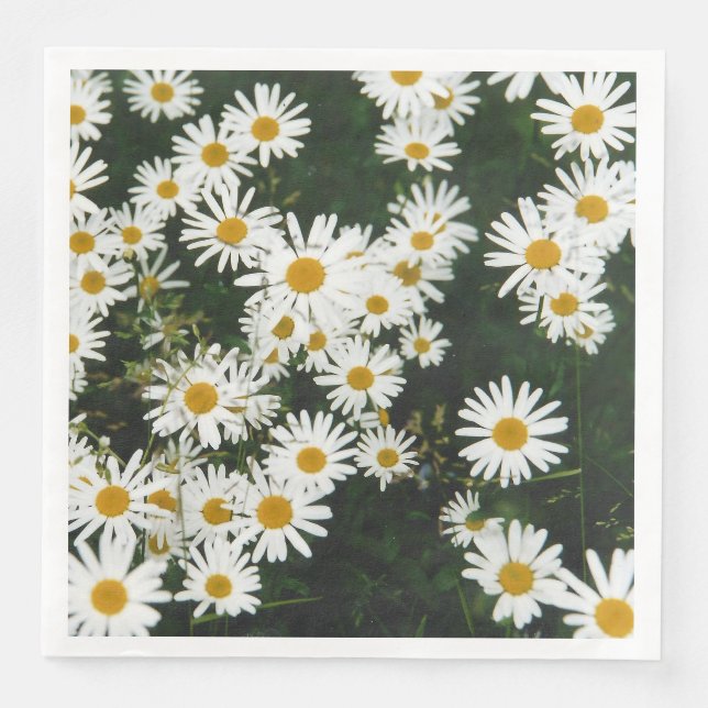 Guardanapo De Papel De Jantar White Oxeye Daisy Meadow (Frente)