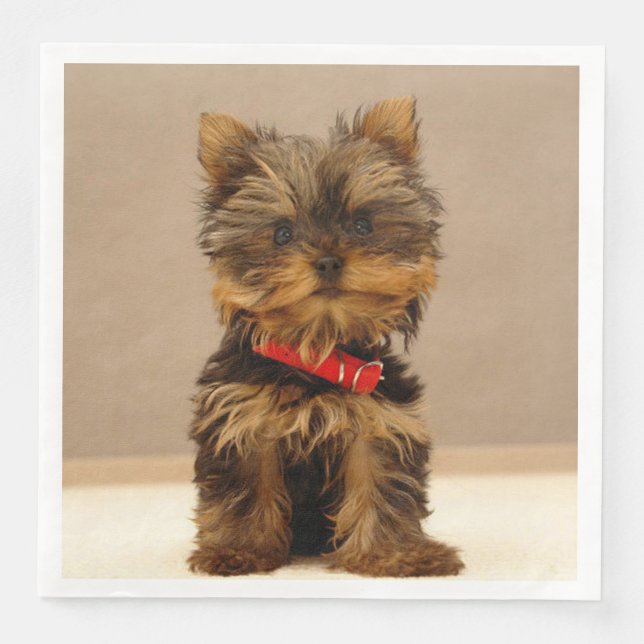 Guardanapo De Papel De Jantar Yorkshire Terrier Puppy (Frente)