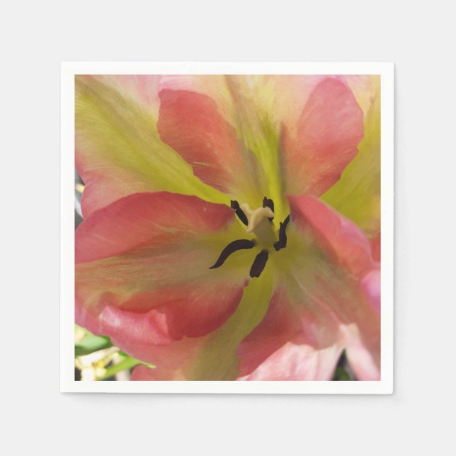 Guardanapo de papel de tulipa rosa e amarelo (Frente)