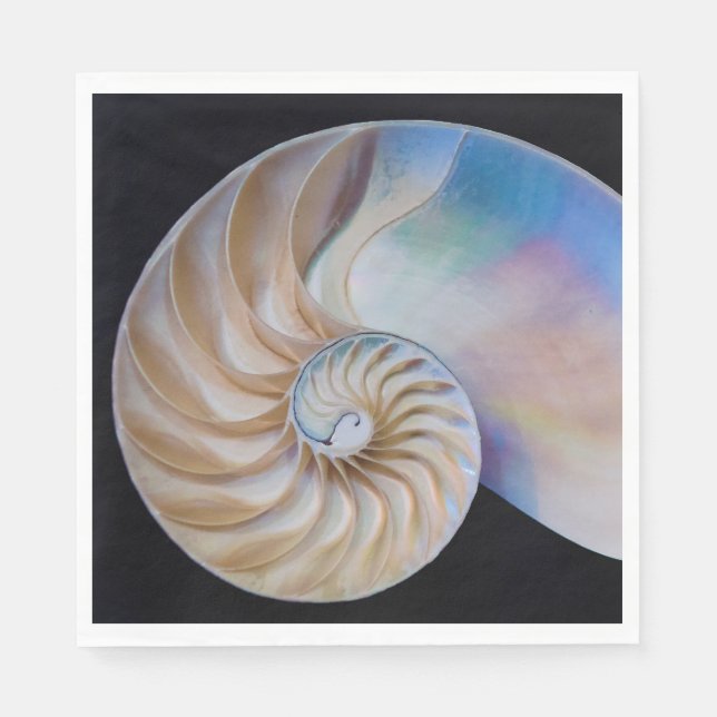 Guardanapo De Papel Dentro O Nautilus (Frente)