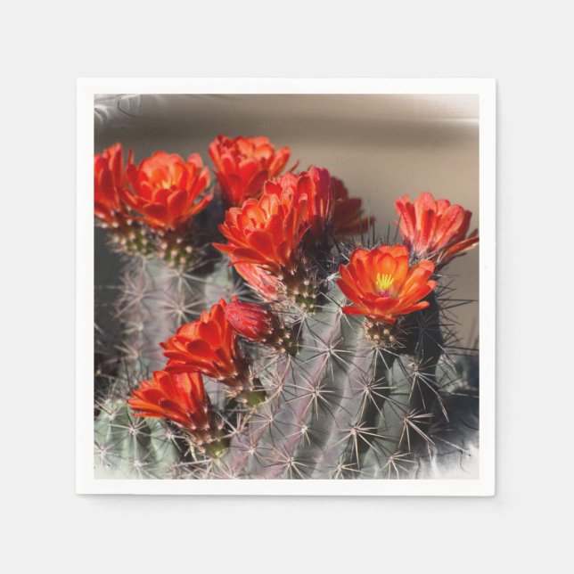 Guardanapo De Papel Desert Cactus Flower (Frente)