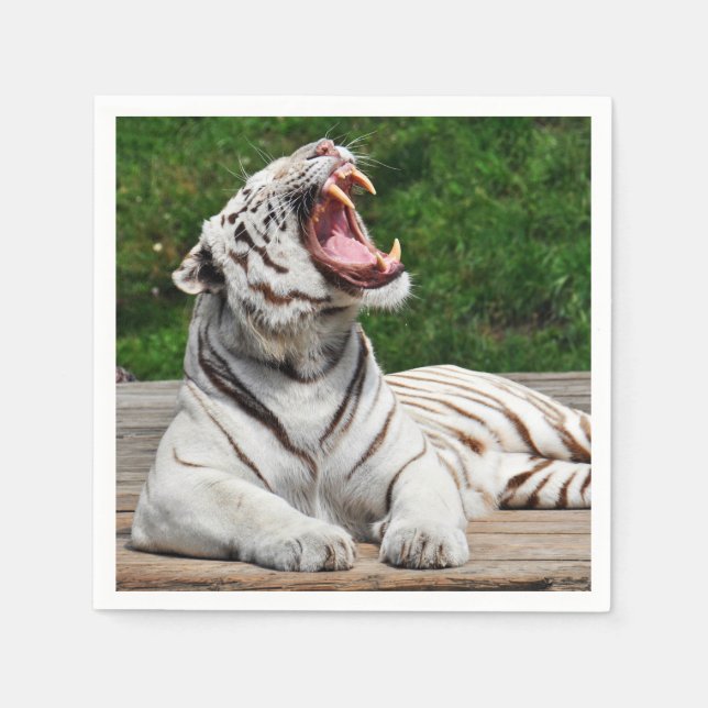 Guardanapo de papel do tigre branco de Bengala (Frente)