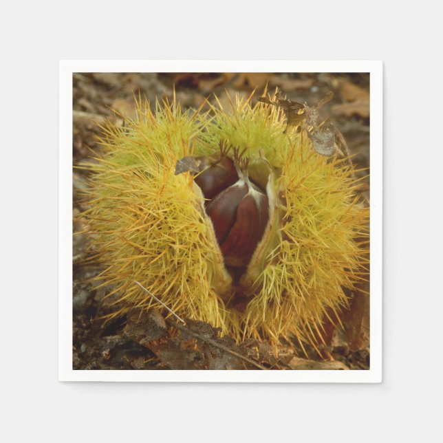 Guardanapo De Papel Doces de castanha Nápoles (Frente)