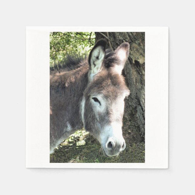 GUARDANAPO DE PAPEL DONKEY (Frente)