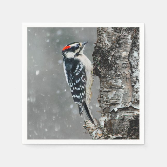 Guardanapo De Papel Downy Woodpecker em Neve - Foto Original (Frente)